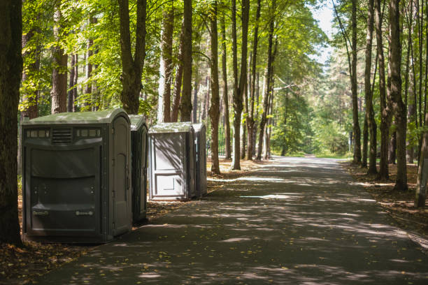 Best Portable bathroom rental  in Dresser, WI